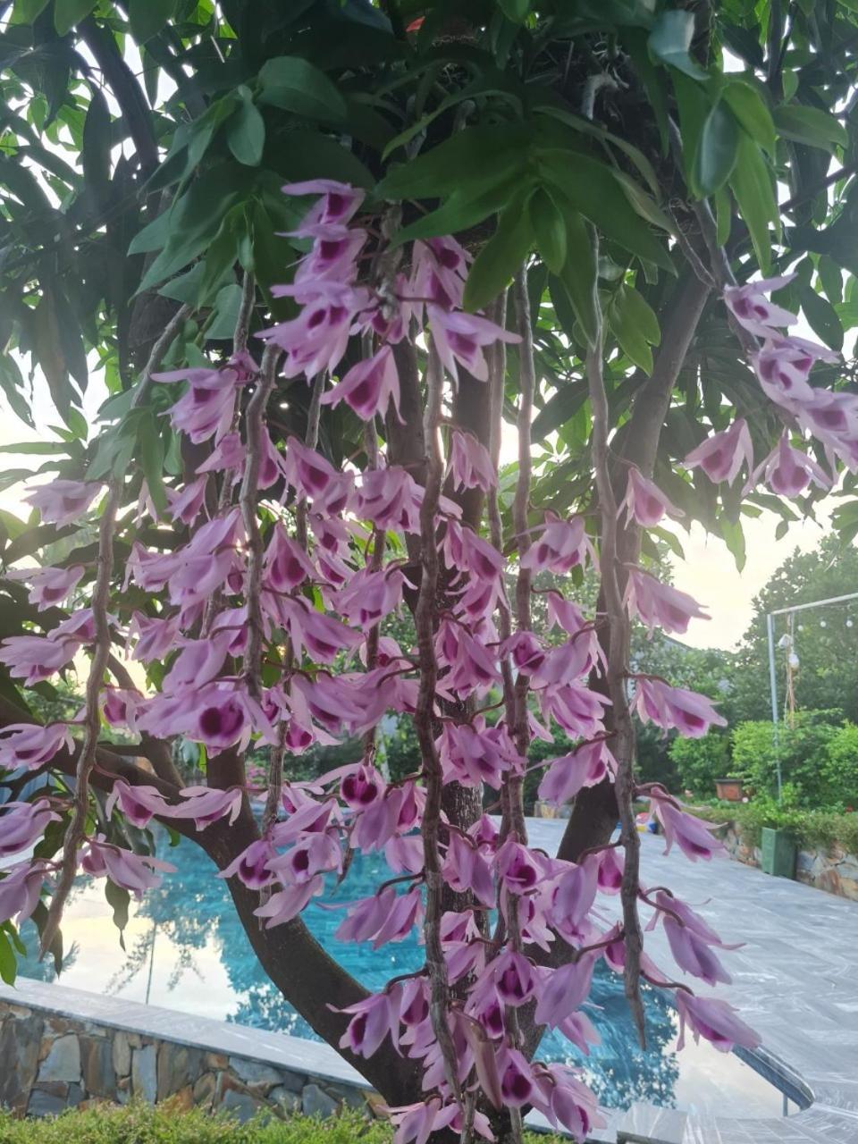 Вилла Byve Garden Ханой Экстерьер фото